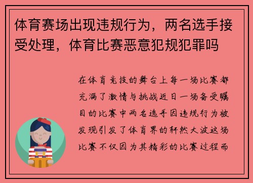 体育赛场出现违规行为，两名选手接受处理，体育比赛恶意犯规犯罪吗