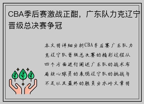 CBA季后赛激战正酣，广东队力克辽宁晋级总决赛争冠
